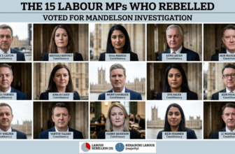 The 15 MPs Who Voted for Mandelson Investigation